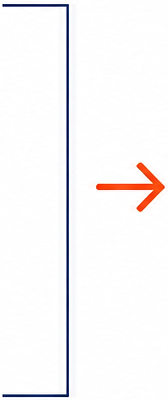 White background with a blue line and an orange arrow pointing to the right